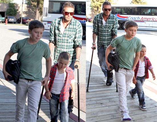 Photos of David Beckham Photos of David Beckham