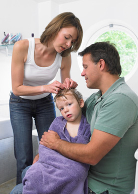 Lice Removal Techniques