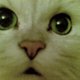 cateve's picture