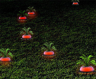 Solar Radish Garden Lights