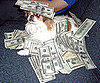 Pictures of Cute Dogs With Money