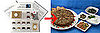 Destination Dinner Recipe Kits
