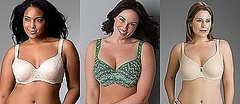 New Lane Bryant Plus-Size Lingerie Ad Rejected by TV Networks New Lane Bryant Plus-Size Lingerie Ad Rejected by TV Networks