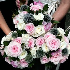 How to Survive Being a Bridesmaid How to Survive Being a Bridesmaid
