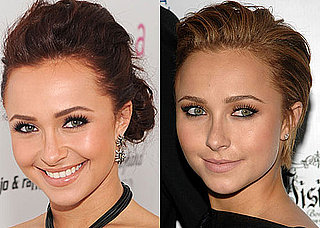 Hayden Panettiere Short Haircut Pictures