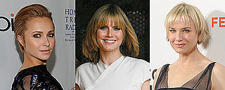 Heidi  Klum, Renee Zellweger, Hayden Panettiere Sporting Short New Hairdos