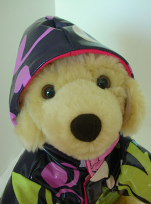 Custom Raincoat For Dogs