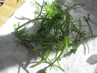 Is It Necessary to Stem Herbs?
