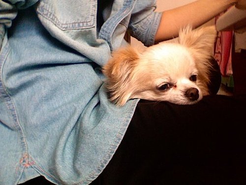 sleepy.....