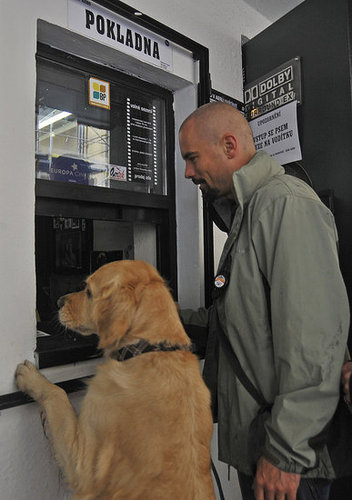 I'll Take Two Tickets For Must Love Dogs, Please! I'll Take Two Tickets For Must Love Dogs, Please!