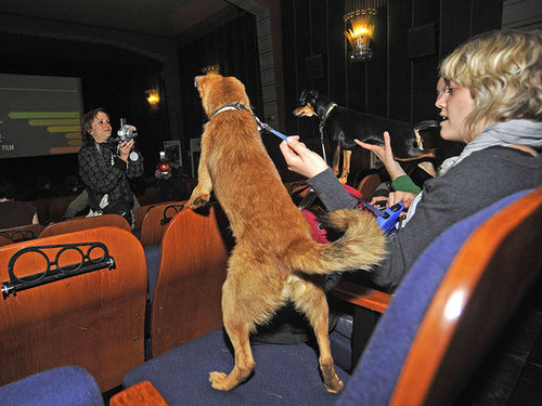 Someone Smells Popcorn! Someone Smells Popcorn!