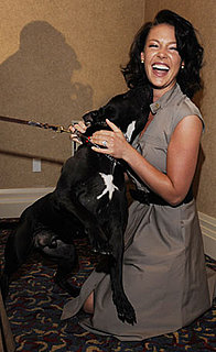 Pictures of Katherine Heigl and Her Dog, Apollo