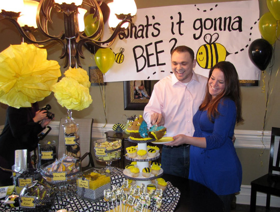 Gender Reveal Party Gender Reveal Party