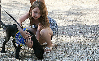 How to Approach a Guide Dog
