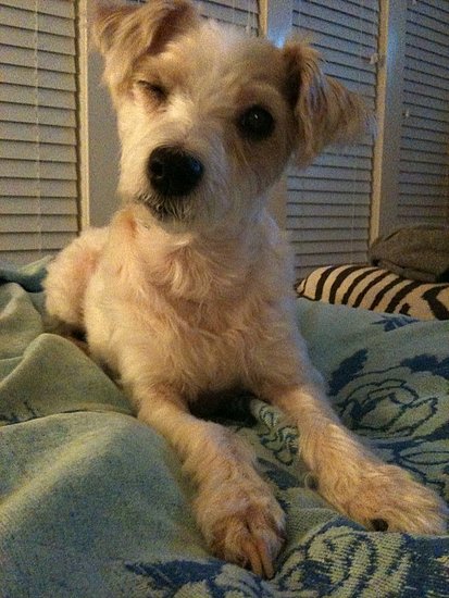 Hi, My Name Is Lily Hi, My Name Is Lily