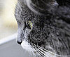 National Photography Month Photo Tip of the Day