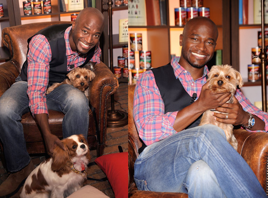 Taye Diggs With Cute Dogs