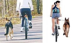 PetEgo Walky Dog Bicycle Leash