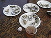 Would You Rather Eat Big or Small Oysters?