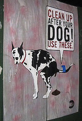 Purposeful Poop Art Pops Up in NYC