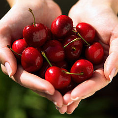 Calories in Fresh Fruit