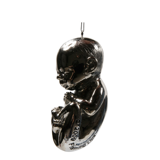 Fetus Items to Celebrate Pregnancy Fetus Items to Celebrate Pregnancy