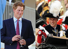 Pictures of Prince William at Order of the Garter Ceremony and Prince Harry in Africa