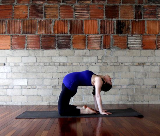yoga  stretches