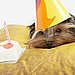 How About Birthday Cakes?