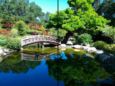 Fix Blurry Photos in iOS 4 Update