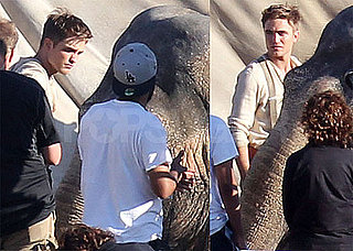 Pictures of Robert Pattinson With Elephant on Set of Water For Elephants 2010-06-23 21:08:04