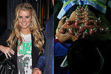 Jessica Simpson Tries Cupping and Goes on a Vegan Diet