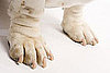 Epsom Salts Safe For Pets
