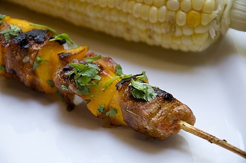 Wooden Skewers vs. Metal Skewers