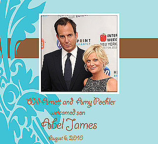 Amy Poehler Gives Birth to Another Baby Boy!
