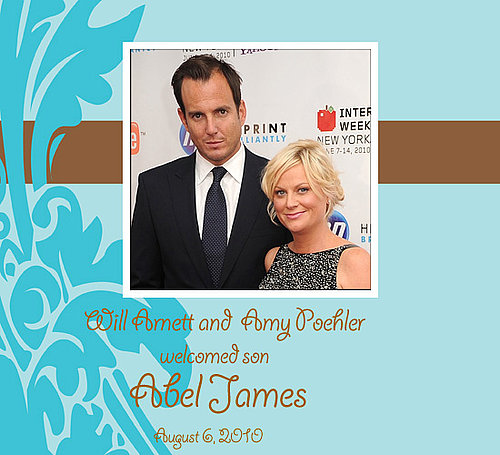 Amy Poehler Gives Birth to Another Baby Boy!