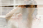 How to Spy on Your Spouse