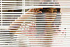 How to Spy on Your Spouse