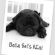 bellagetsreal bellagetsreal