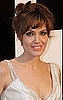 Angelina Jolie to Make Film About the Bosnian War 2010-08-23 05:00:00