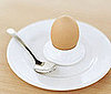 Protein Facts Quiz