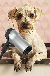 Andis Pet Dryers
