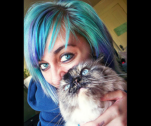 Hip Cat Hip Cat