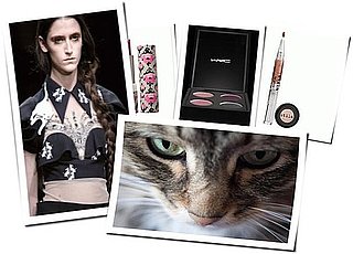 Cat Beauty Trend