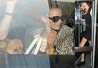 Pictures of Nadine Coyle and Her Gorgeous Dog Lola