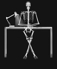 Bone Facts