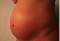 The Pregnancy Fetish