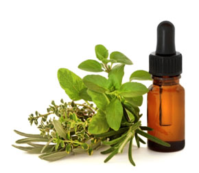 Herbal Supplements to Aid Focusing