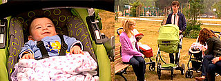 Yippity Sippity Stroller on Weeds Made Shane Steal