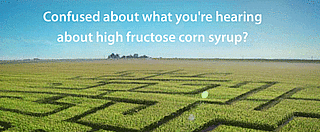 High Fructose Corn Syrup Lobby Group Hopes to Change Name to Corn Sugar